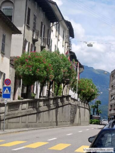 Die Hauptstrasse von Brissago