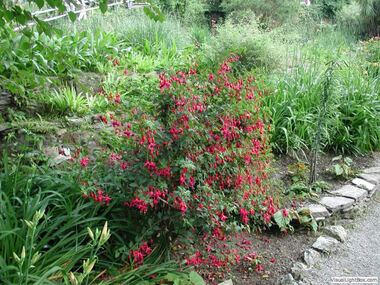 Botanischer Garten