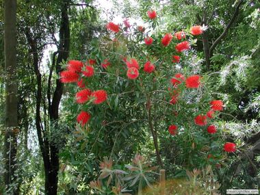 Botanischer Garten