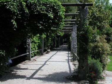 Botanischer Garten