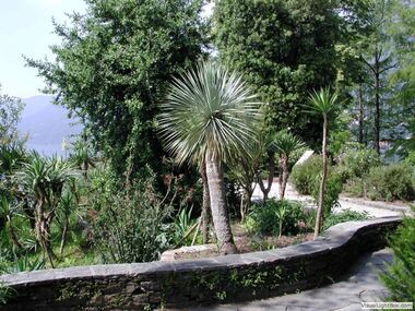 Botanischer Garten