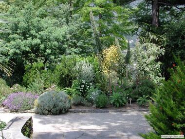 Botanischer Garten