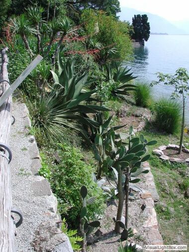 Botanischer Garten