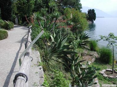 Botanischer Garten
