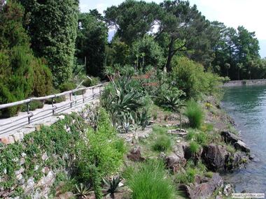 Botanischer Garten