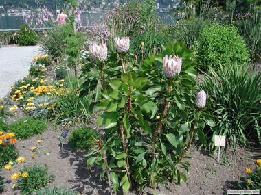 Botanischer Garten