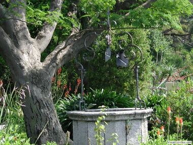Botanischer Garten
