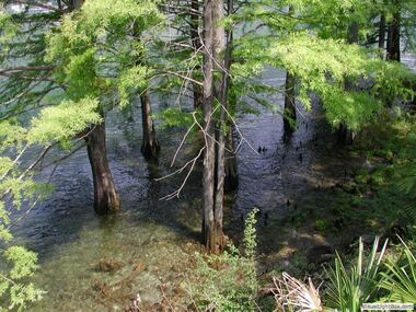 Botanischer Garten