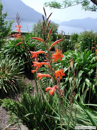 Botanischer Garten
