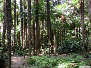 Botanischer Garten