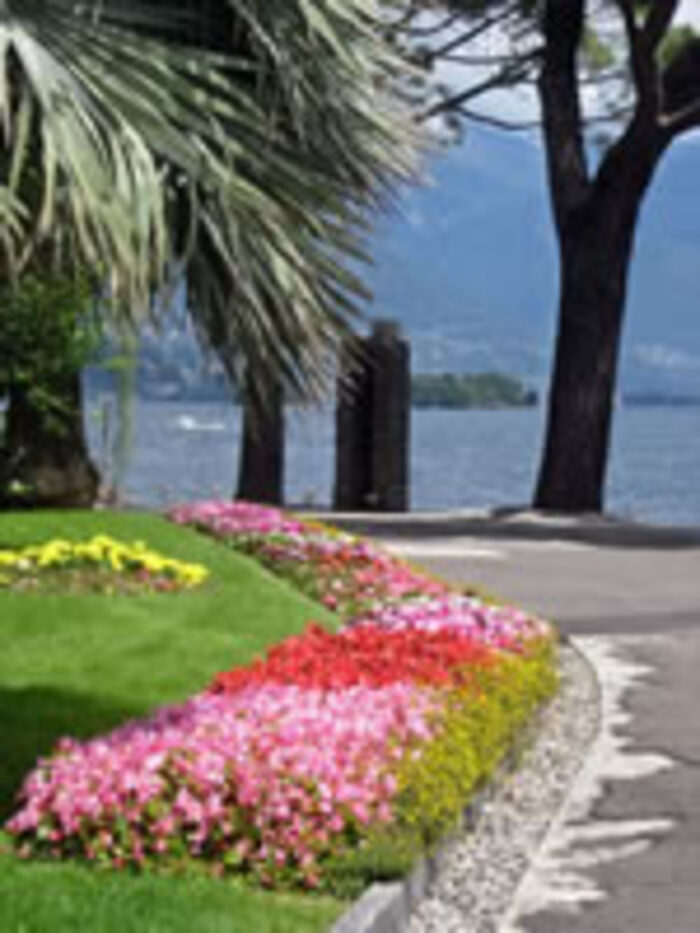 Blühende Seepromenade in Brissago