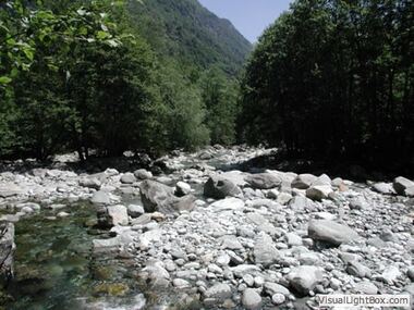 Die Verzasca hat sie alle rund geschliffen.